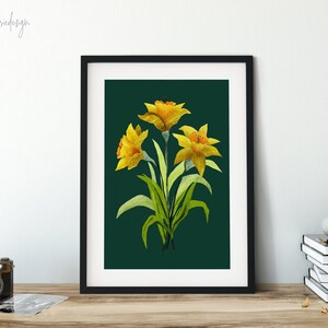 Daffodils on Green Gicée Print, floral art, floral print, flower painting, daffodil print, yellow flowers, daffodil painting | A5, A4 & A3