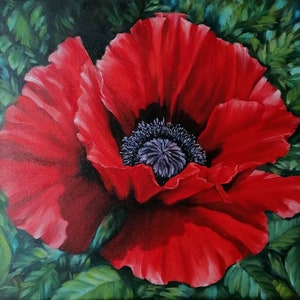 Pode incluir: Pintura a óleo em close-up de uma vibrante flor de papoula vermelha com um centro escuro. As pétalas são de um vermelho rico e aveludado, e o centro é de um roxo profundo. Folhas verdes circundam a flor, criando um contraste marcante.