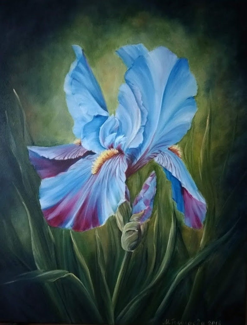 Blue Iris Oil Painting on Canvas Realistic Flower Original Art Handmade ...