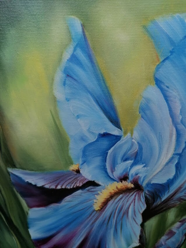 Blue Iris Oil Painting on Canvas Realistic Flower Original Art Handmade ...