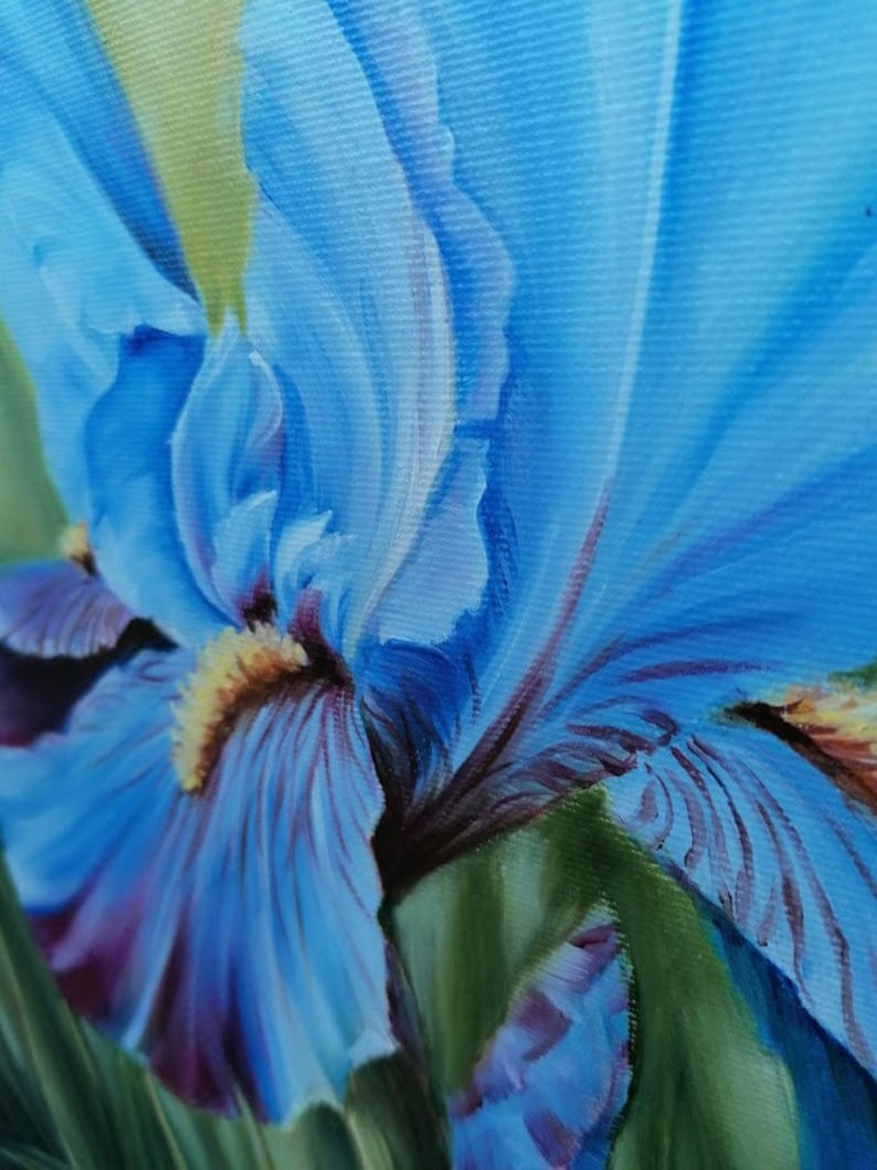 Blue Iris Oil Painting on Canvas Realistic Flower Original Art Handmade ...