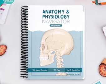 Anatomy & Physiology Navigator | Spiral Bound