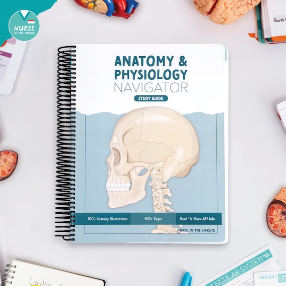 Anatomy & Physiology Navigator | Spiral Bound