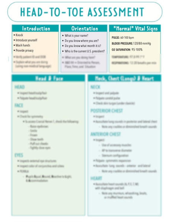 Head To Toe Assessment Guide Nursing Students Health Etsy