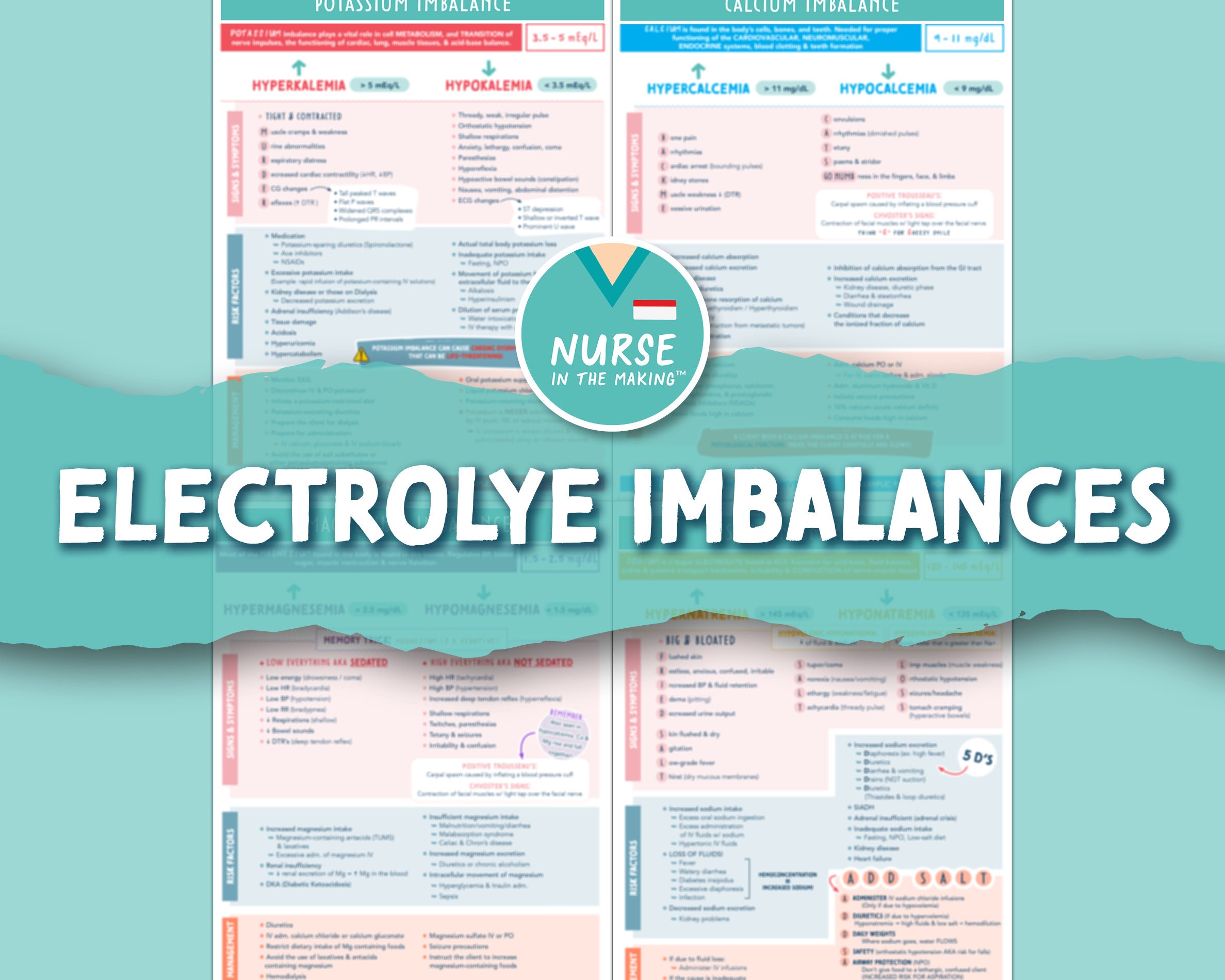 Electrolyte Imbalances Study Guide 4 Pages | Etsy