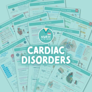 Cardiac Study Guide | 19 Pages | 2023 Edition | Med-Surg | Nursing Notes | Digital Download Only