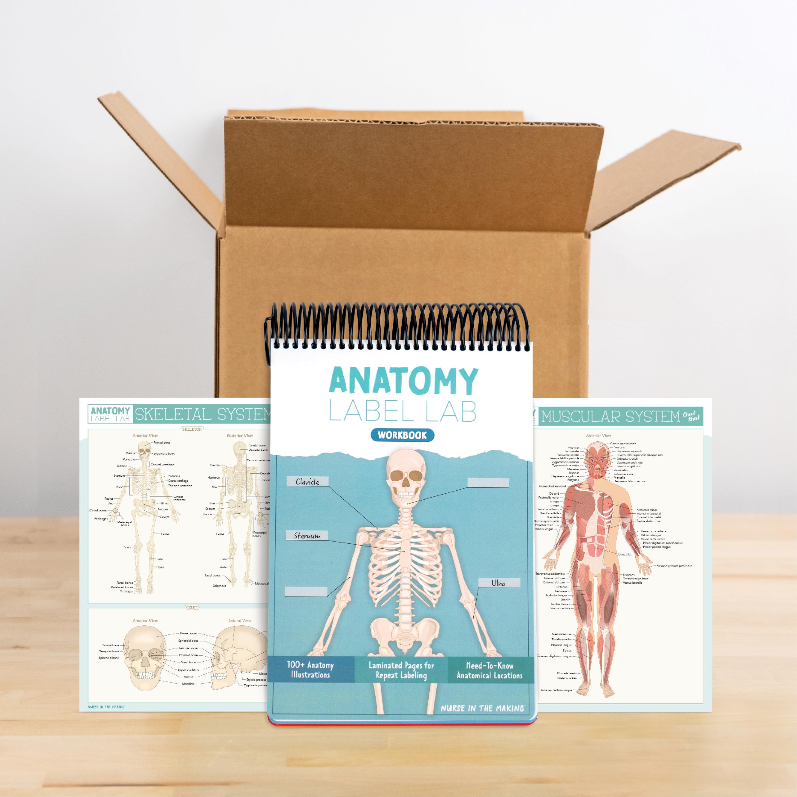 Anatomy Label Lab Workbook - Etsy