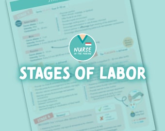 Stages of Labor Study Guide | Maternal Newborn | 1 Page | 2023 Edition | Nursing Notes | Digital Download Only