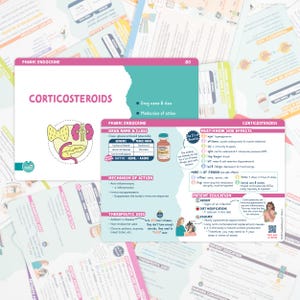 Puede incluir: Un conjunto de tarjetas educativas sobre farmacolog&iacute;a, centradas en los corticosteroides. Las tarjetas presentan informaci&oacute;n detallada sobre nombres de medicamentos, mecanismos de acci&oacute;n, efectos secundarios y usos terap&eacute;uticos, con diagramas y texto. Las tarjetas est&aacute;n codificadas por colores con acentos rosas y turquesas.
