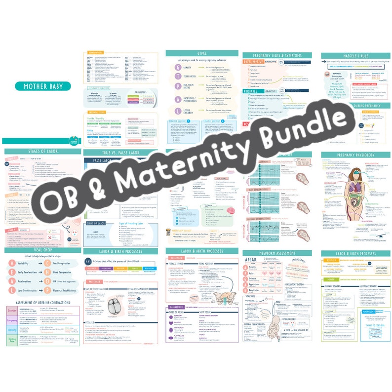 maternity bundle size 12
