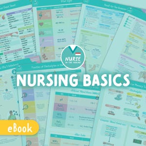 Nursing Basics Study Guide | 17 Pages | 2026 Edition | eBook