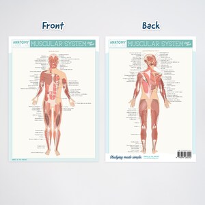 Anatomy Label Lab Cheat Sheets - Etsy