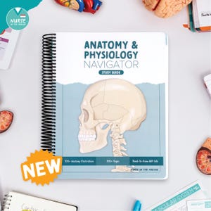 Anatomy & Physiology Navigator | Spiral Bound
