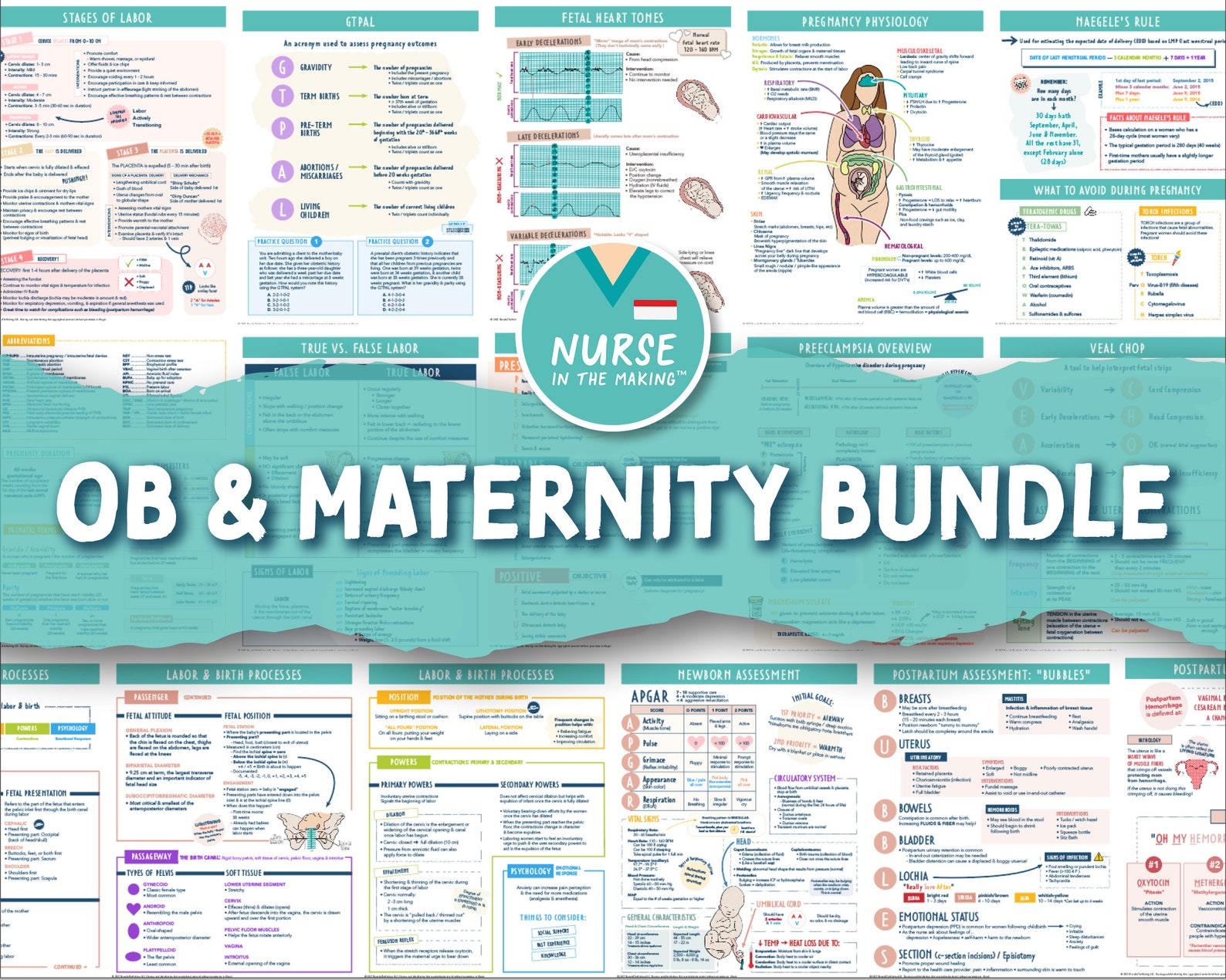 The Complete Nursing School Bundle® 220 Pages Digital Etsy