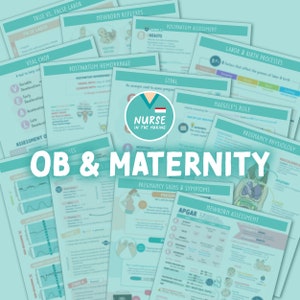 OB & Maternity Study Guide | 22 pages | 2023 Edition | Nursing Notes | Digital Download Only