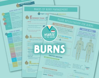 Burns Study Guide | 3 pages | 2023 Edition | Nursing Notes | Digital Download Only