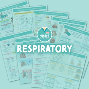 Respiratory Study Guide | 10 Pages | Med-Surg | 2023 Edition | Nursing Notes | Digital Download Only