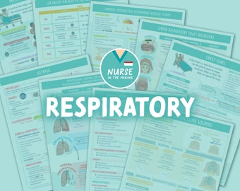 Respiratory Study Guide | 10 Pages | Med-Surg | 2023 Edition | Nursing Notes | Digital Download Only