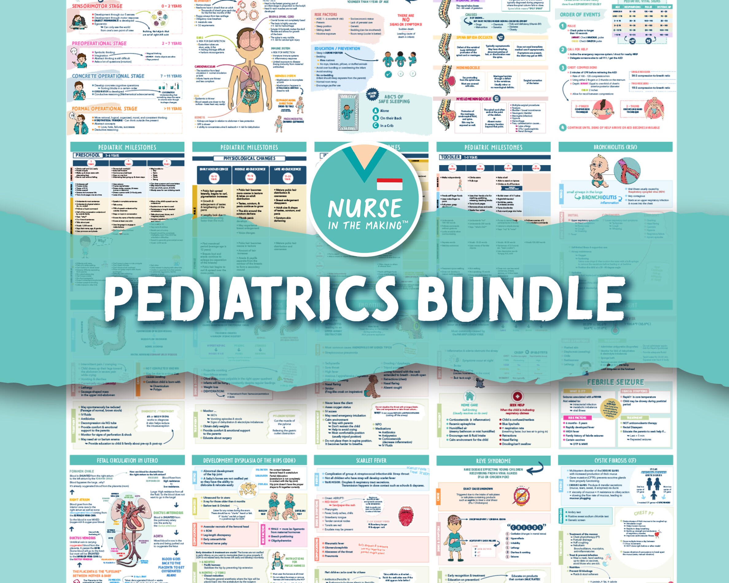 The Complete Nursing School Bundle® 200 Pages Digital Etsy