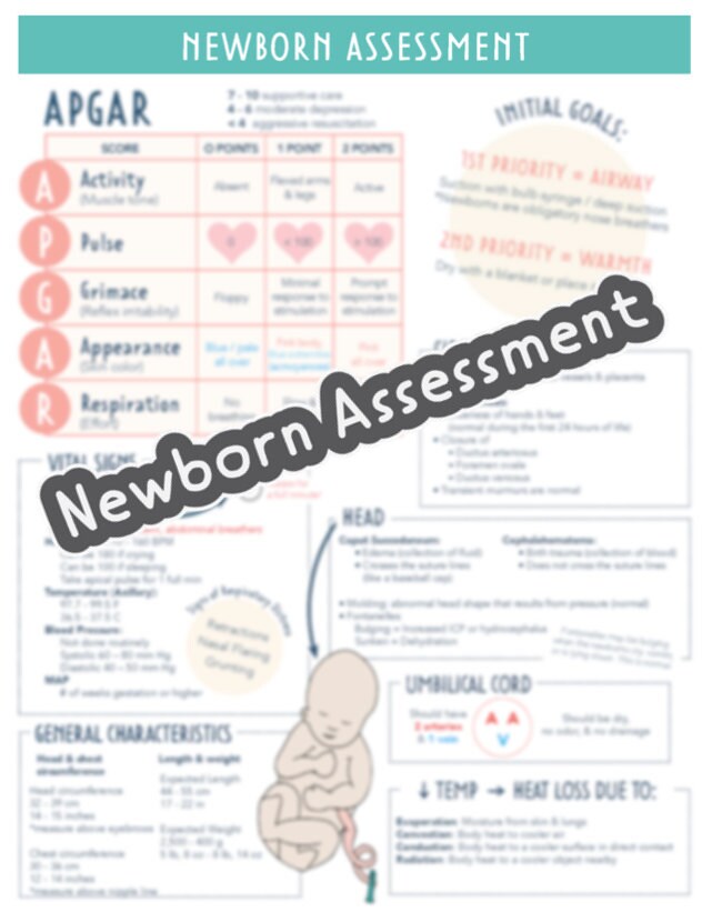 Newborn Assessment Guide 1 page | Etsy