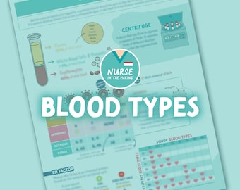 Blood Types Cheat Sheet | 1 Page | 2023 Edition | Digital Download