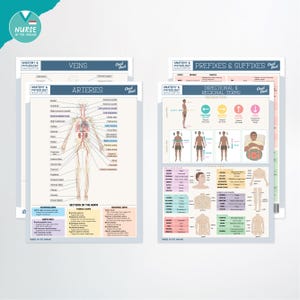 Anatomy & Physiology Navigator Cheat Sheets