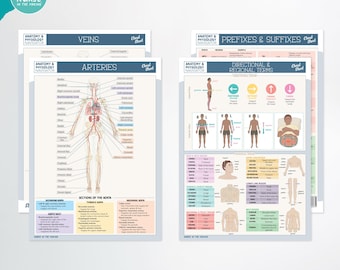 Anatomy & Physiology Navigator Cheat Sheets
