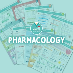 Pharmacology Study Guide | 31 pages | 2023 Edition | Nursing Notes | Digital Download Only