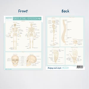 Anatomy Label Lab Cheat Sheets - Etsy
