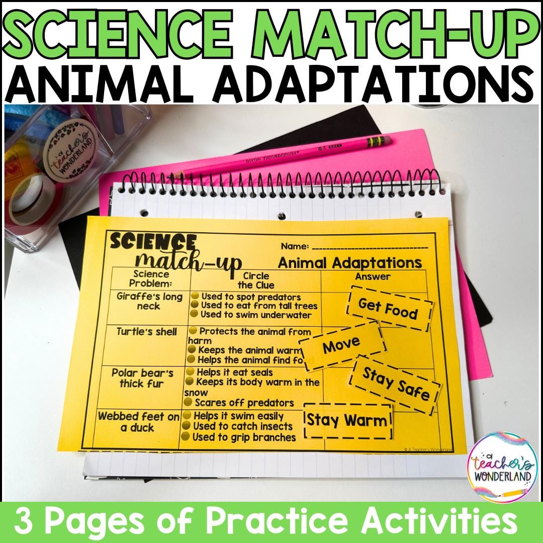 Animal Adaptations Science Sorts Centers Review Interactive Notebook ...