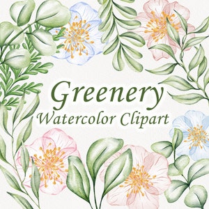 Clipart dell'acquerello verde. Piante verdi boho. Piante secche. Clipart di matrimonio. Boho. Arredamento neutro. Acquerello acquerello floreale.