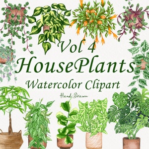 Clipart aquarela de plantas de casa. Clipart de plantas em vasos. Clipart de plantas de interior. Amor de planta de casa. Clipart de cactos. Clipart de jardim. Plantas PNG V4