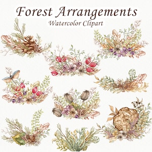 Bos clipart. Bosbladeren aquarel clipart. Aquarel foerageren Clip. Bosillustraties. Herfst bos clipart. Gedroogde bladeren PNG