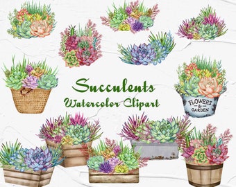 Succulent Watercolor Clipart. Houseplants Watercolor Clip Art. Cacti Clip Art. Gardening plant. Succulents Boho wedding. PNG