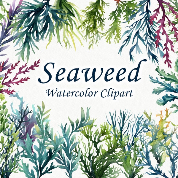 Seaweed Watercolor clipart. Coral Reef Clipart. Tropical clipart. Ocean Clipart. under the Sea life. Watercolor Ocean floral. Laminaria png