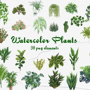 Watercolor Plants Clipart. House plants Clipart. Indoor Plants Watercolor Clipart. Cactus Clipart for instant download. PNG
