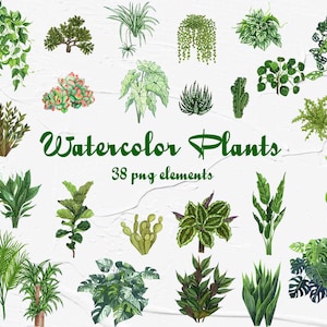 Clipart de plantas em aquarela. Clipart de plantas de casa. Clipart aquarela de plantas de interior. Clipart de cacto para download instantâneo. png
