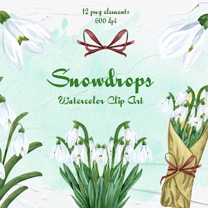 Watercolor Snowdrops Clipart. Spring Snowdrops Illustration. White spring flowers Clip Art. Watercolor Snowdrop. Country flower PNG