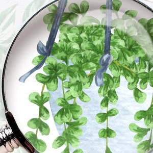 Växtälskare. ClipArt för krukväxter. Akvarell clipart för krukväxter. ClipArt för heminredning. Krukväxter PNG bild 5