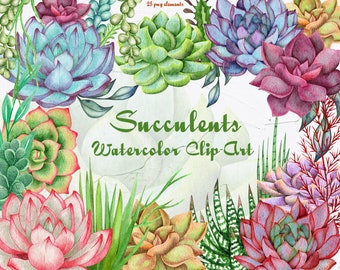 Succulent Watercolor Clipart. Houseplants Watercolor Clip Art. Cacti Clip Art. Gardening plant. Succulents Boho wedding. PNG