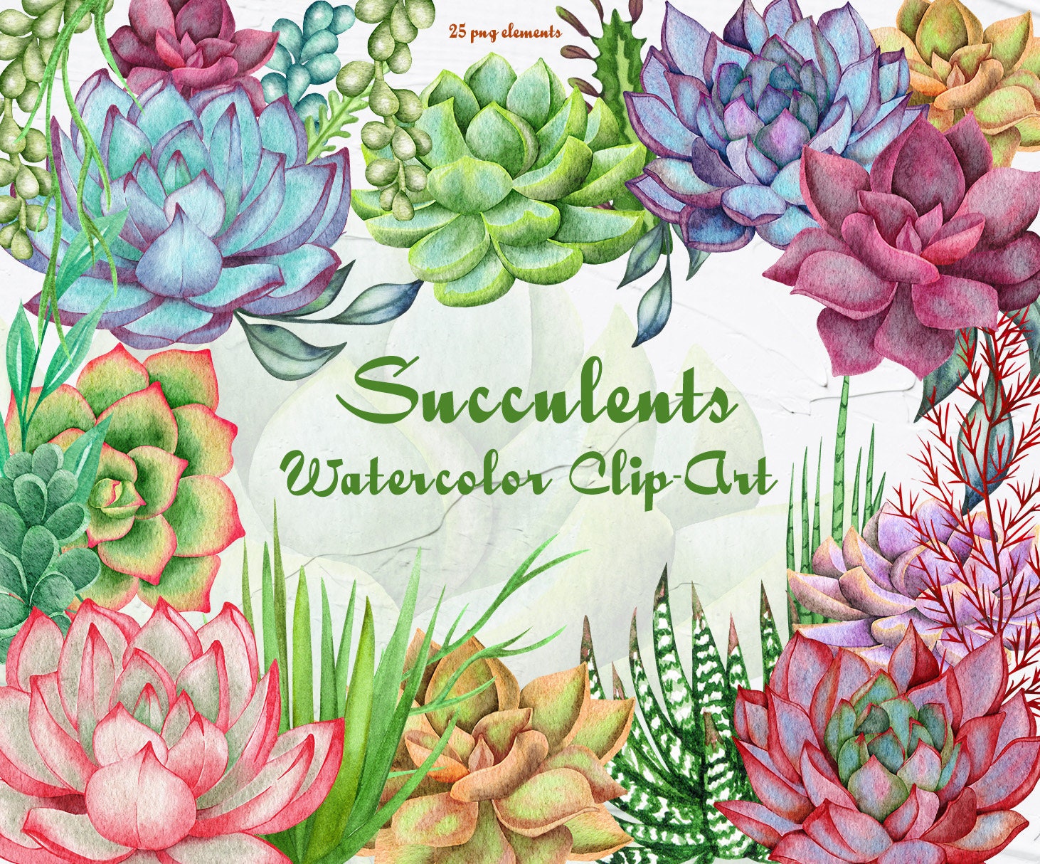 Succulent Watercolor Clipart. Houseplants Watercolor Clip Art. - Etsy