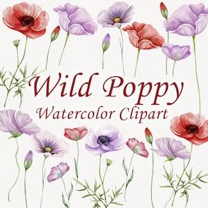 Clipart coquelicot. Clipart de fleurs sauvages. Fleurs sauvages bohèmes. Clipart mariage. Aquarelle Aquarelle florale. Clipart floral de fleurs sauvages. PNG