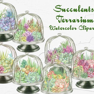 Suculenta acuarela Clipart. Plantas de interior Acuarela Clip Art. Imágenes prediseñadas de cactus. Planta de jardinería. Suculentas boda Boho. Papúa Nueva Guinea
