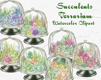 Succulent Watercolor Clipart. Houseplants Watercolor Clip Art. Cacti Clip Art. Gardening plant. Succulents Boho wedding. PNG
