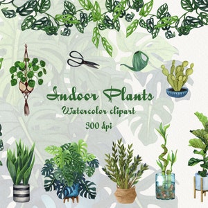 Clipart aquarela de plantas de interior. Clipart de plantas de casa. Clipart de plantas em vasos. Ilustração de plantas caseiras. para download instantâneo. Planta PNG