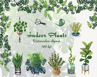 Kamerplanten aquarel clipart. Kamerplanten ClipArt. Potplanten Clipart. Huisplanten illustratie. voor onmiddellijke download. PNG planten