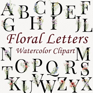 Clipart alfabeto floreale selvaggio. Numeri fiori selvatici acquerello primavera/estate. Lettere floreali acquerello. Fiori botanici ed erbe. PNG