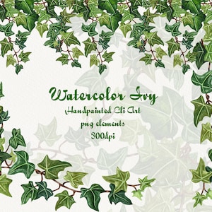 Ivy Watercolor Clip Art. Ivy Clipart. Winter Plant Clipart. Poison Ivy Wreath Clipart, Leaf Foliage, Watercolor Ivy Vines Clipart. PNG
