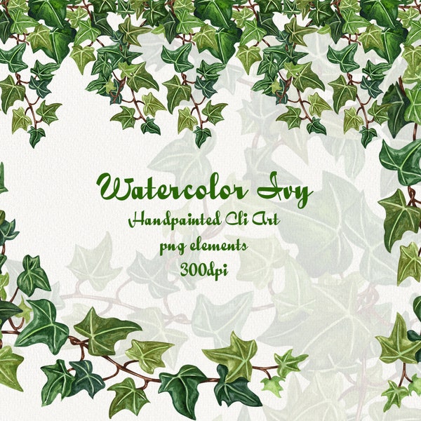 Ivy Watercolor Clip Art. Ivy Clipart. Winter Plant Clipart. Poison Ivy Wreath Clipart, Leaf Foliage, Watercolor Ivy Vines Clipart. PNG