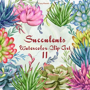 Sappige Aquarel Clipart. Kamerplanten Aquarel Clip Art. Cactussen Clip Art. Tuinplant. Succulenten Boho bruiloft. PNG-bestand